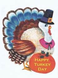 pic for Cute Turkey
